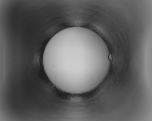 X0000089390258200706291340