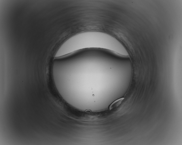 X0000089390260200706291340