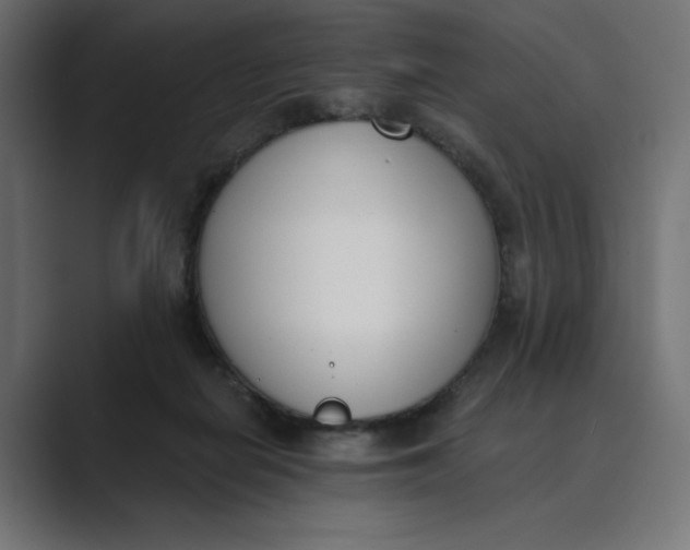 X0000089390266200706291340