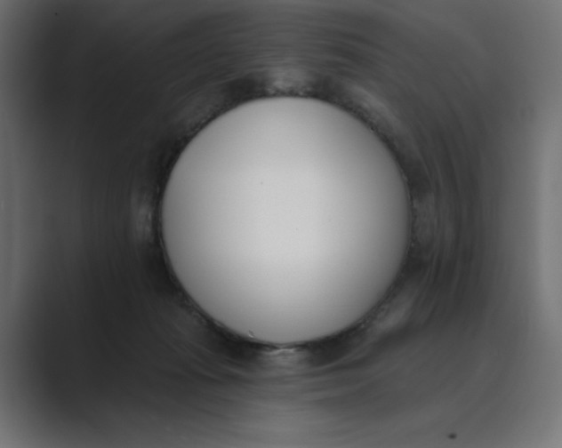 X0000089390269200706291340