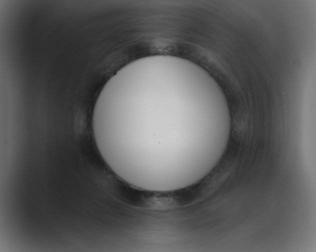 X0000089390270200706291340