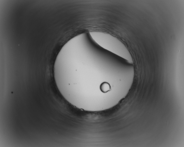 X0000089390272200706291340