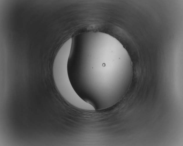 X0000089390276200706291340