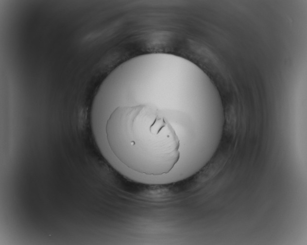 X0000089390278200706291340