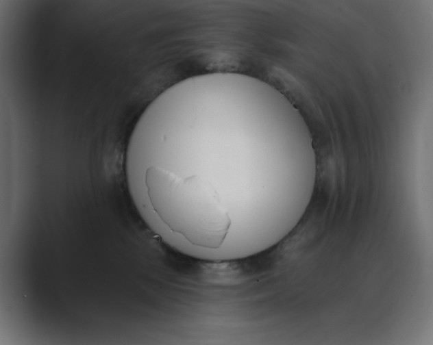 X0000089390281200706291340