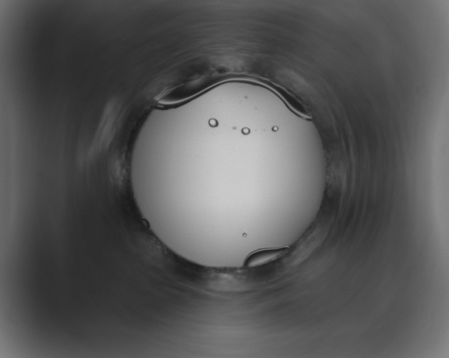 X0000089390285200706291340
