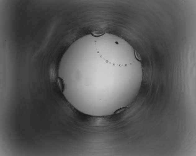 X0000089390287200706291340