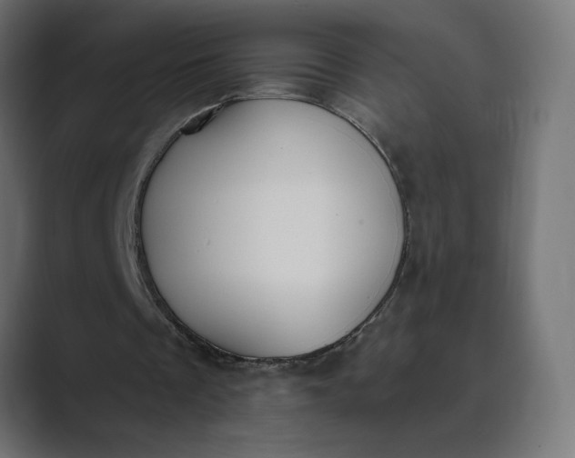 X0000089390289200706291339