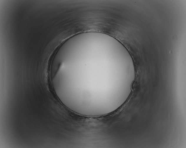 X0000089390290200706291339