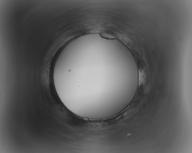 X0000089390291200706291339