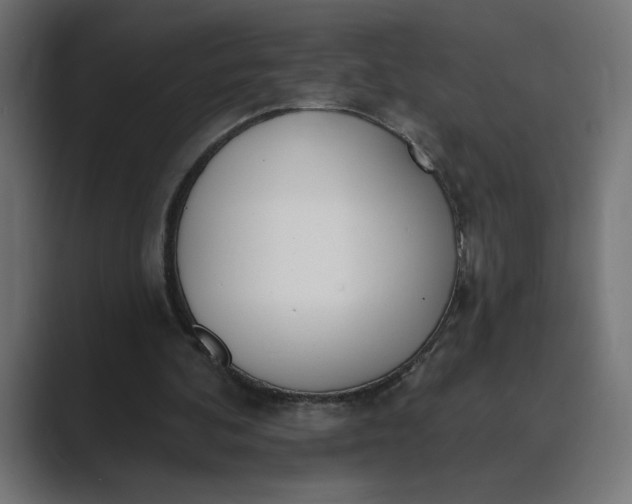 X0000089390292200706291339