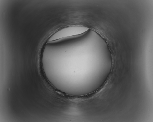 X0000089390293200706291339