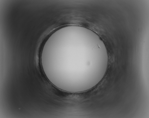 X0000089390294200706291339