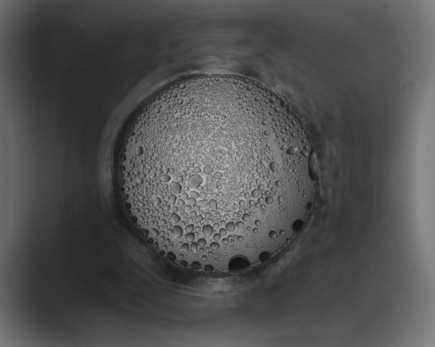 X0000089390295200706291339