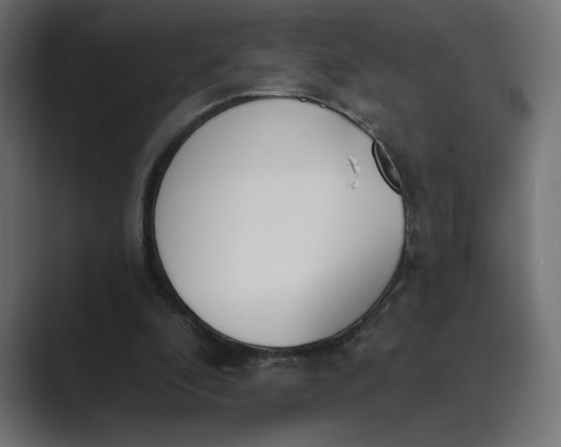 X0000089390296200706291339