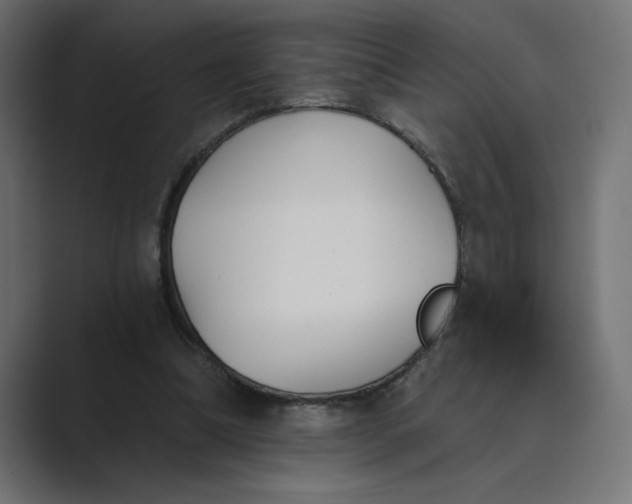 X0000089390298200706291339
