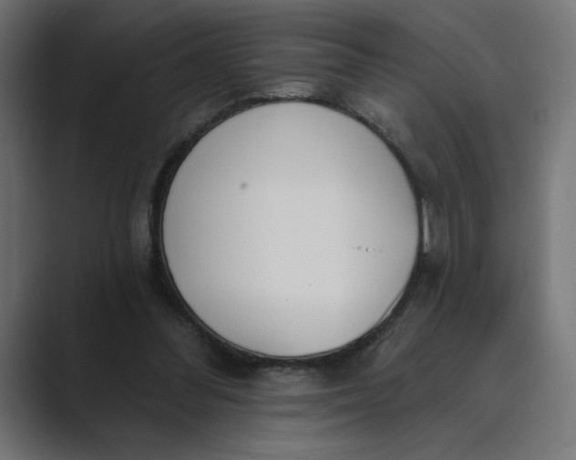 X0000089390300200706291339