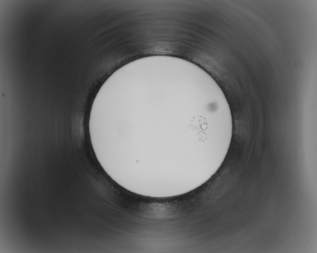 X0000089390302200706291339