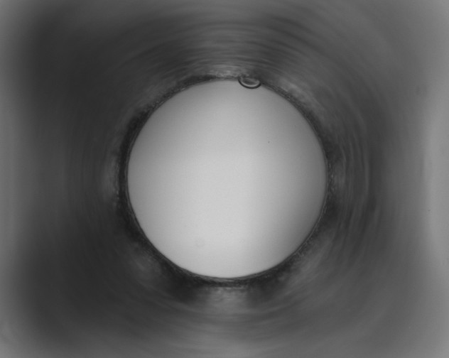 X0000089390303200706291339