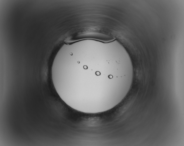 X0000089390304200706291339