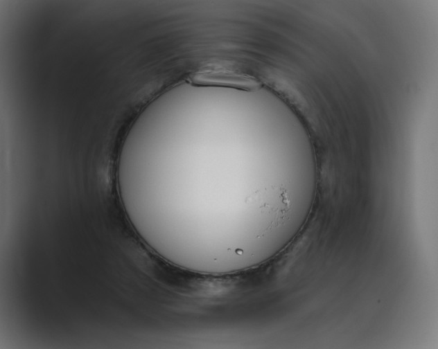 X0000089390305200706291339