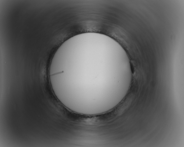 X0000089390306200706291339