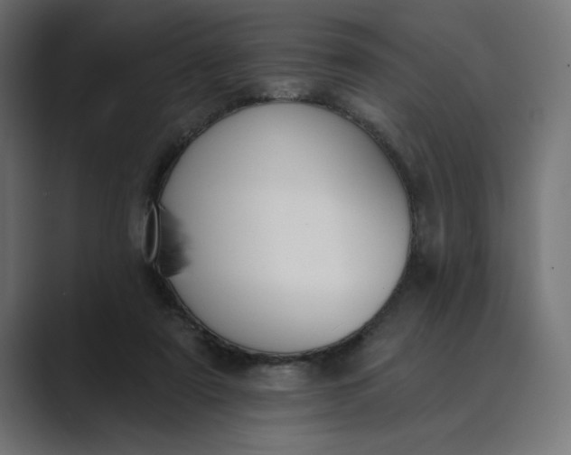 X0000089390307200706291339