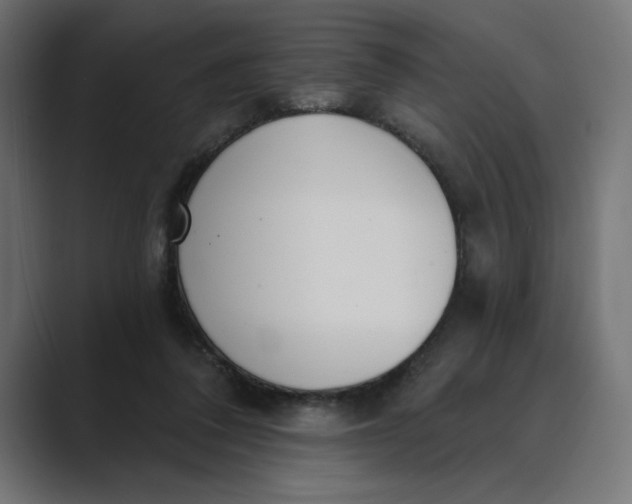 X0000089390308200706291339