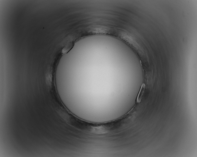 X0000089390309200706291339
