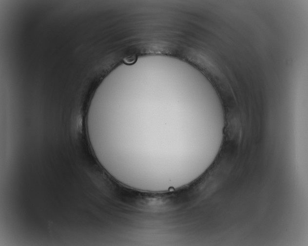 X0000089390310200706291339