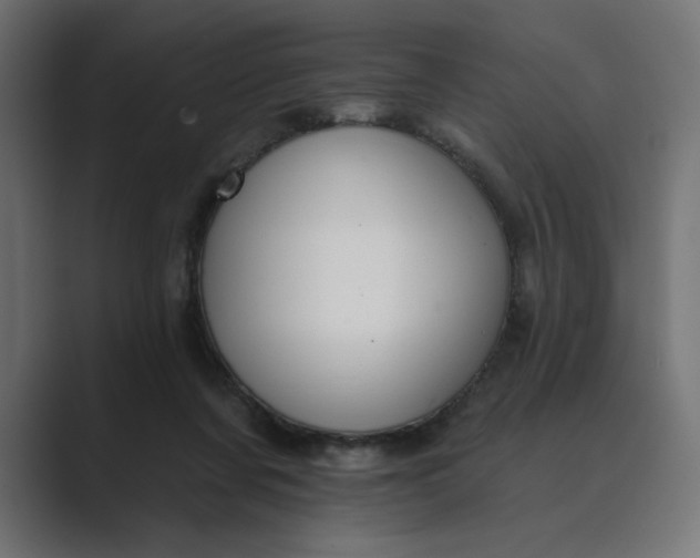 X0000089390311200706291339