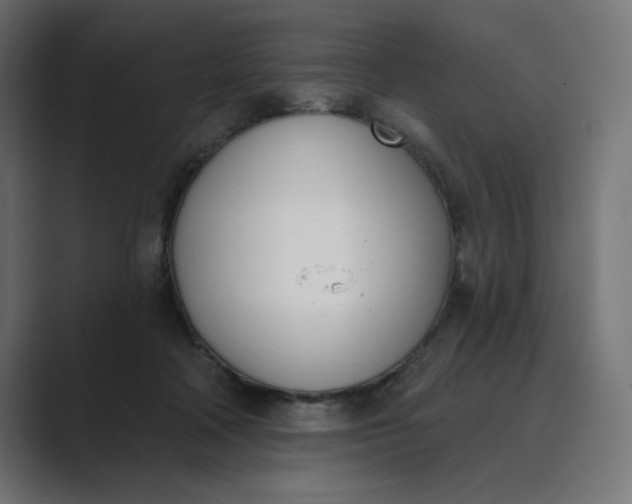 X0000089390314200706291339