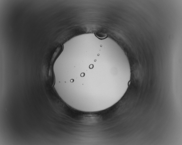 X0000089390316200706291339