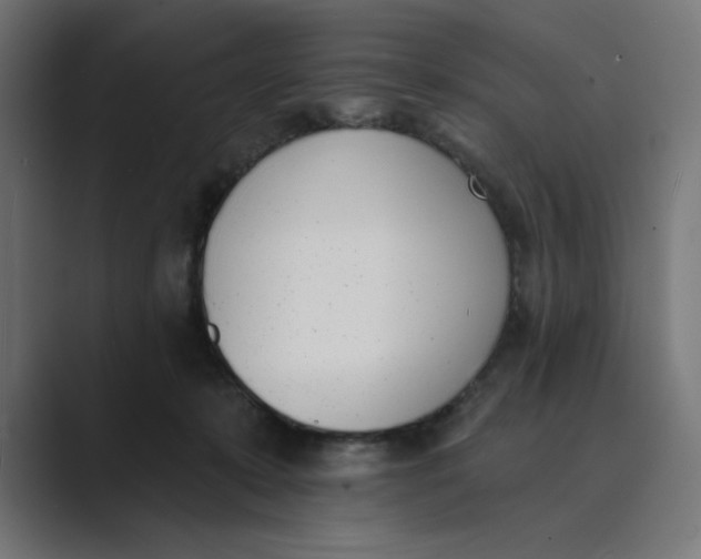 X0000089390319200706291339
