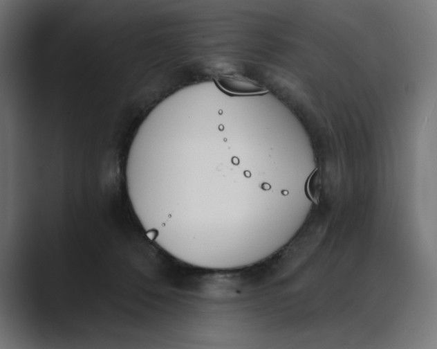 X0000089390320200706291339