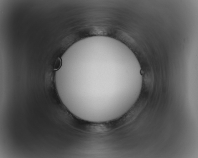 X0000089390322200706291339