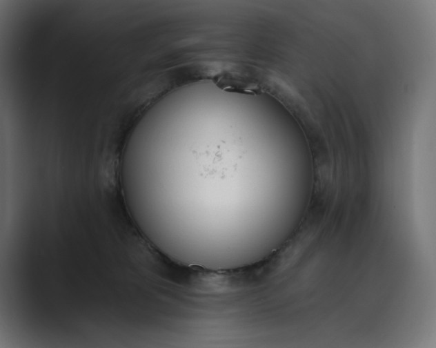 X0000089390325200706291339