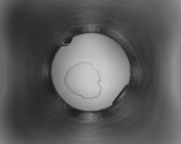 X0000089390326200706291339