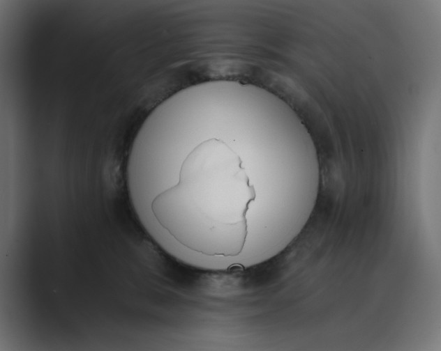 X0000089390327200706291339