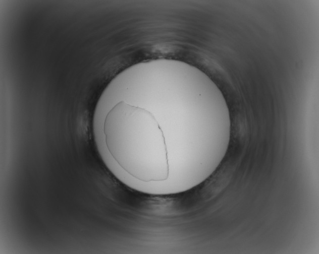 X0000089390328200706291339