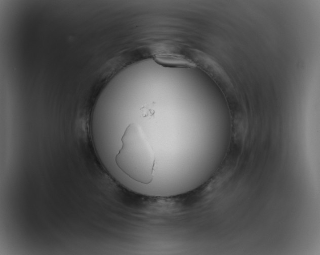 X0000089390329200706291339