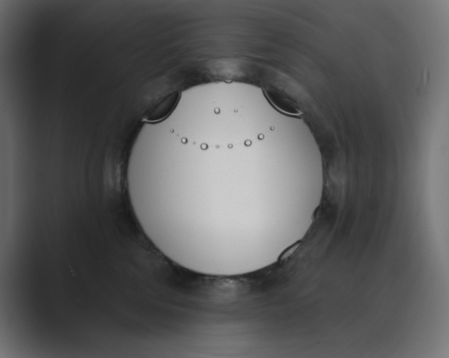 X0000089390330200706291339