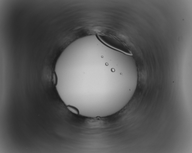 X0000089390331200706291339