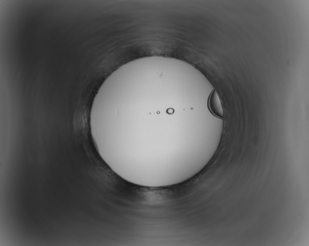 X0000089390336200706291339