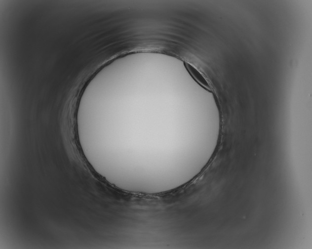 X0000089390337200706291338