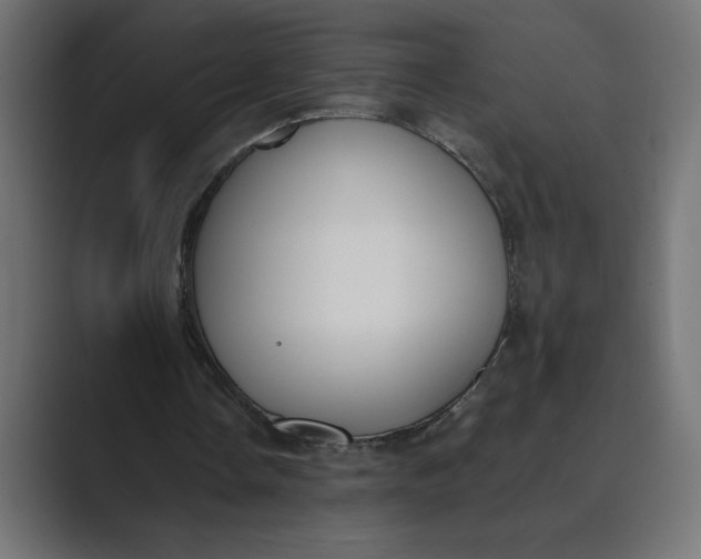 X0000089390338200706291338