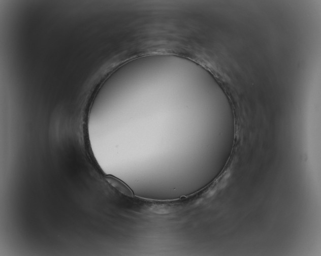 X0000089390341200706291338