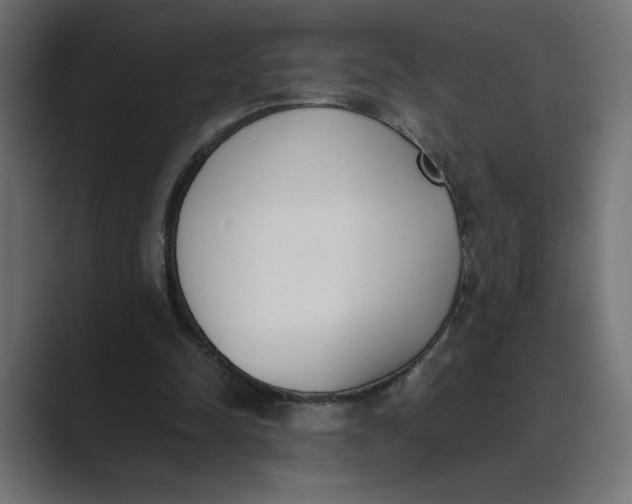 X0000089390342200706291338