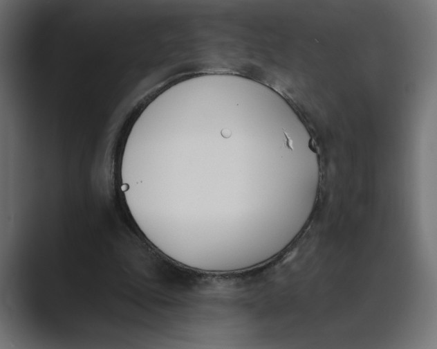 X0000089390343200706291338