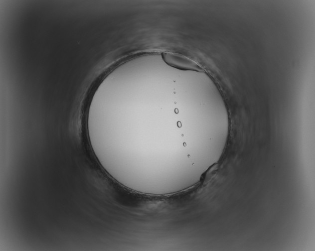 X0000089390344200706291338